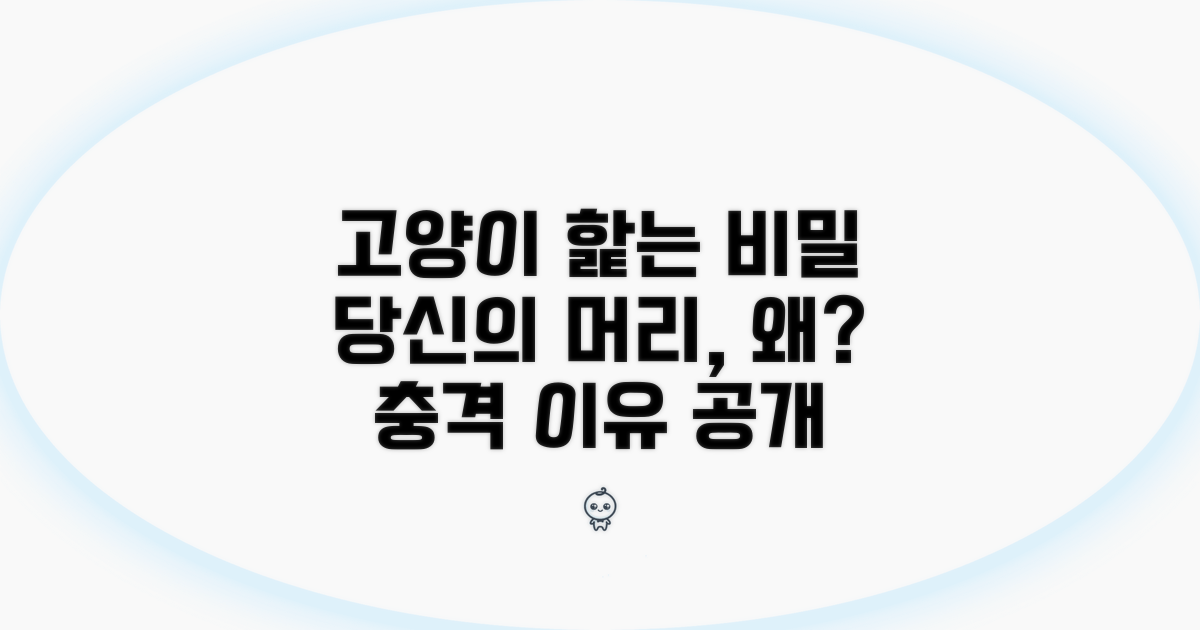 고양이가 머리카락 핥는 진짜 이유