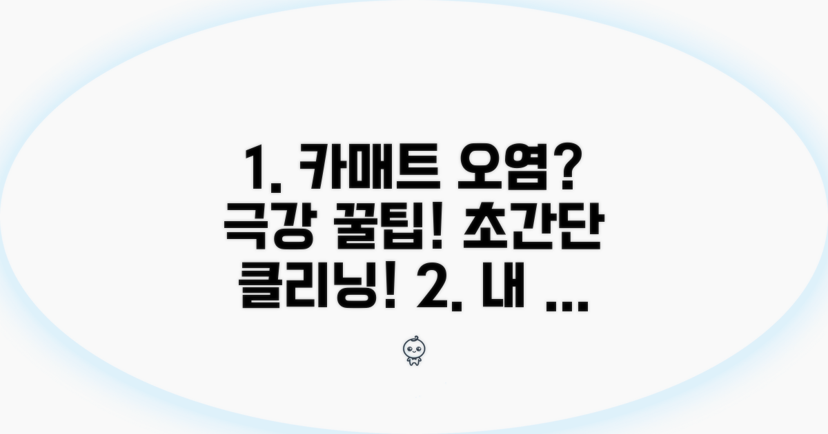카매트 오염 제거, 꿀팁 대방출
