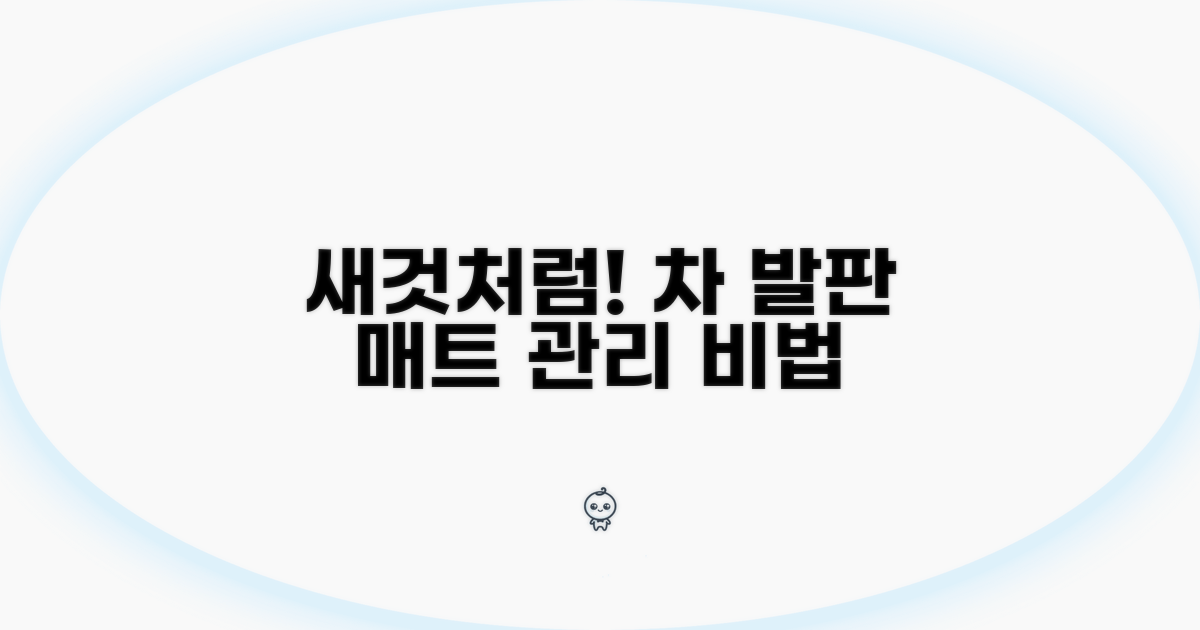 차 발판 매트 관리, 새것처럼 유지하기