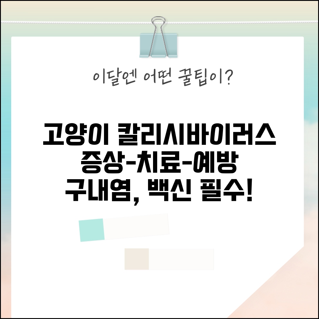 고양이 칼리시 바이러스 증상 치료 예방 | 고양이 구내염 칼리시 백신