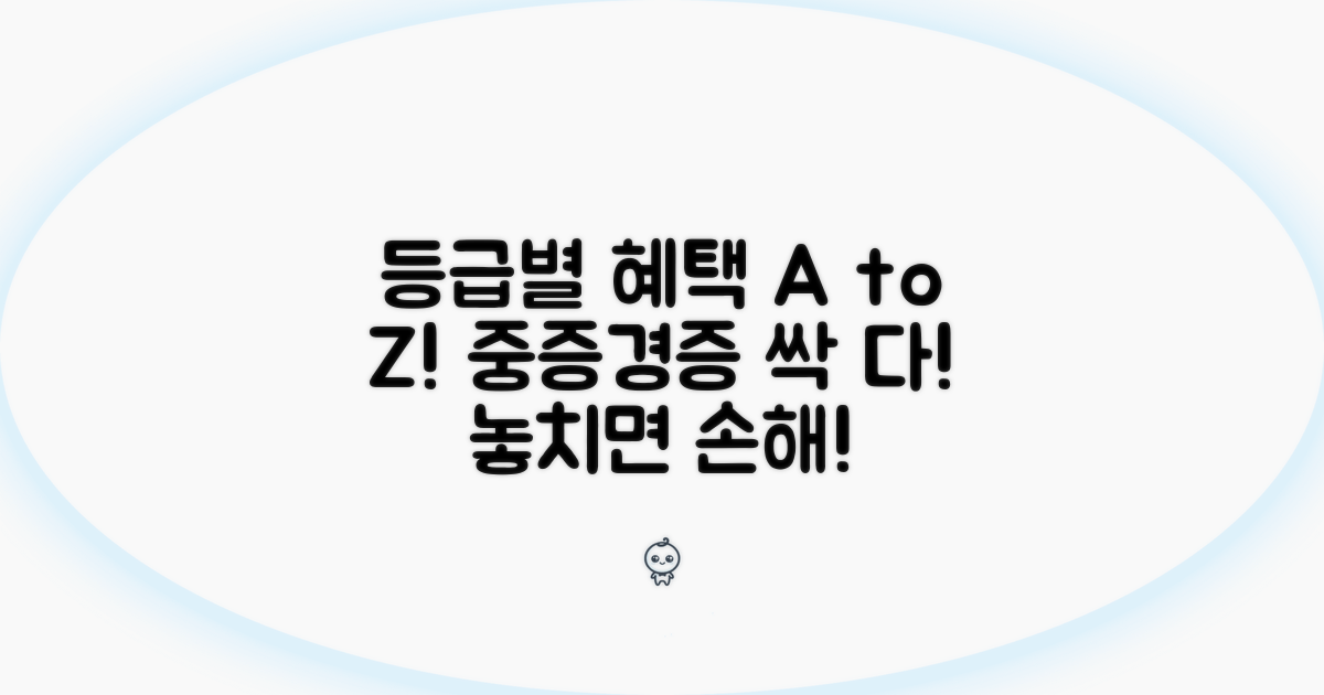 중증 경증 등급별 혜택 총정리