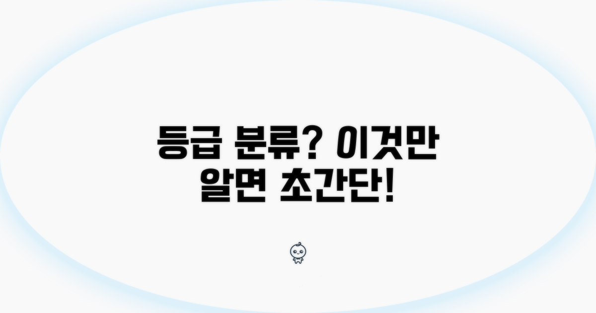 등급 분류, 이것만 알면 쉬워요